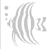 PC-1401 Angelfish papercutting pattern