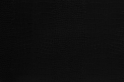 A012 Leather Black Alligator