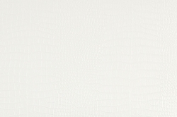 A013 Leather White Alligator